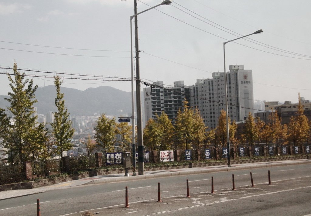 _MG_2361_调整大小.JPG