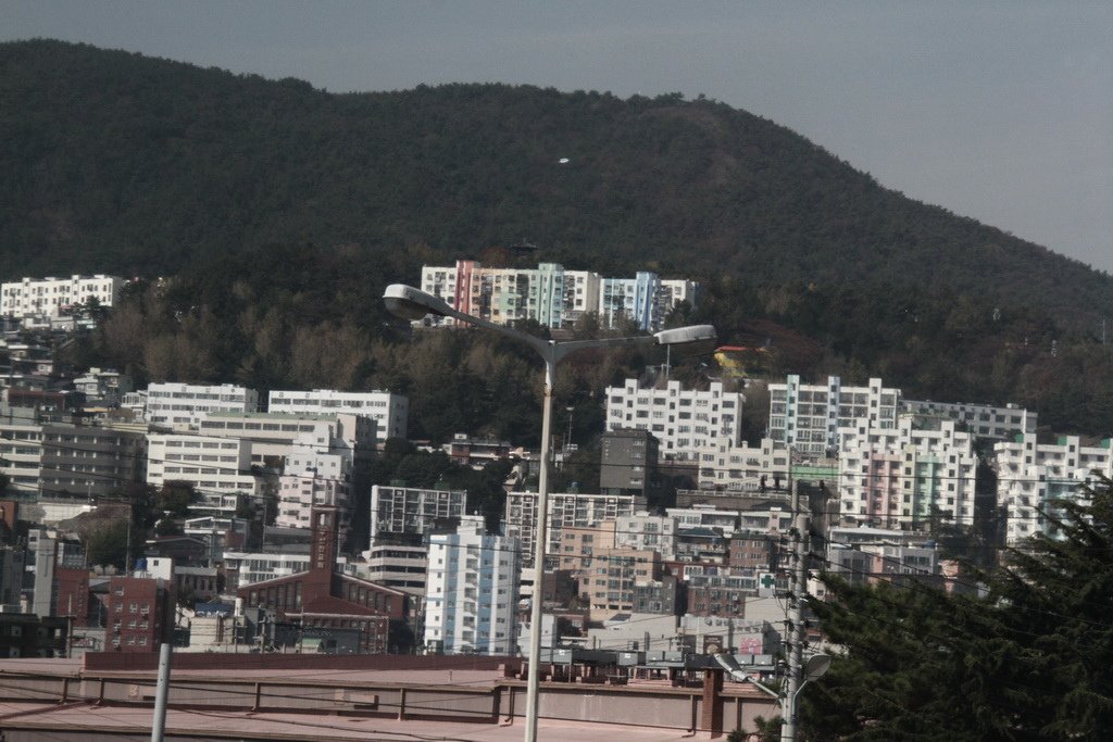 _MG_2373_调整大小.JPG