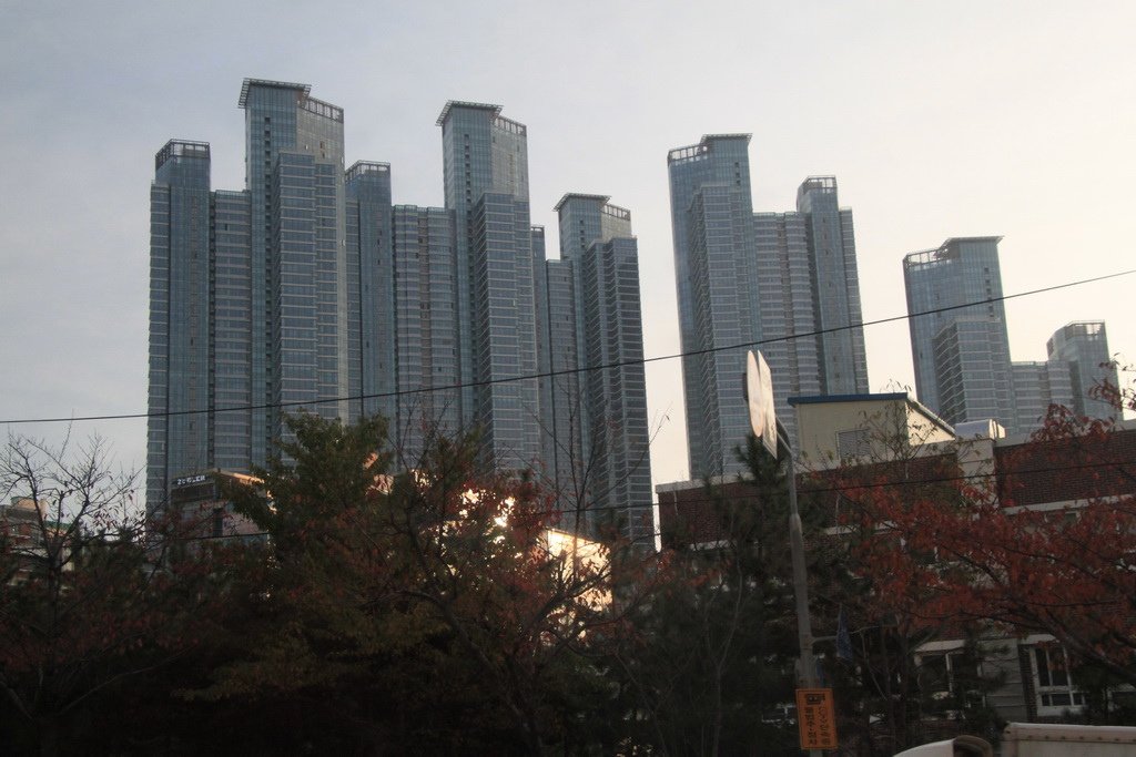 _MG_0764_调整大小.JPG