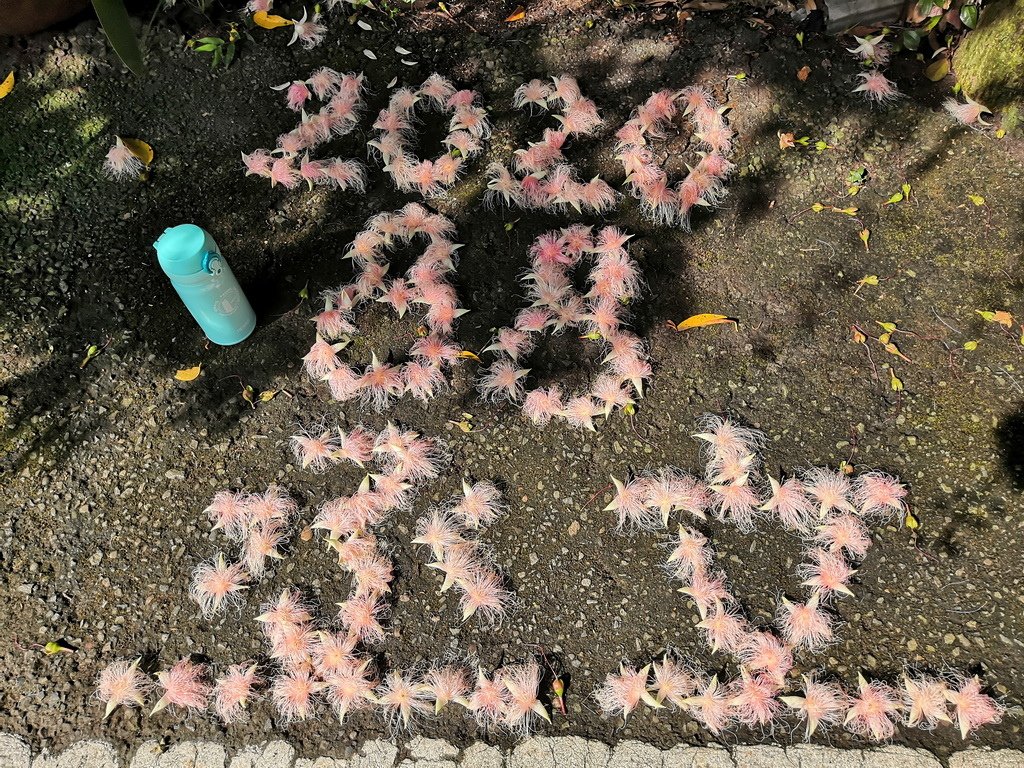 IMG_20200706_081025_调整大小.jpg