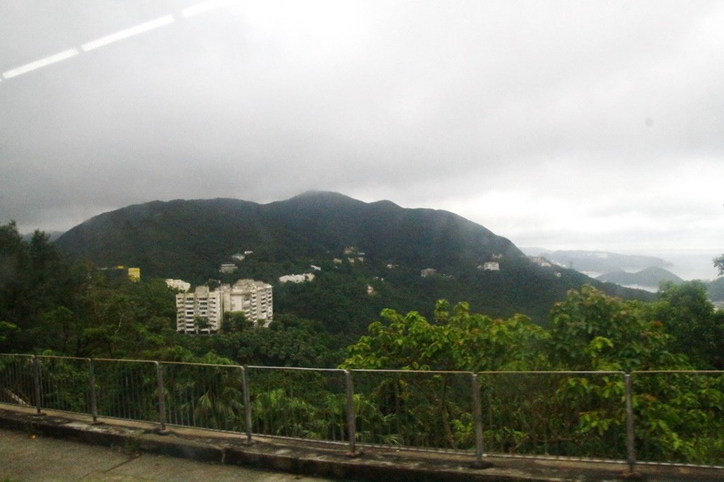 _MG_0503_调整大小.JPG