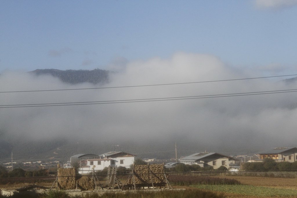 _MG_0395_调整大小.JPG
