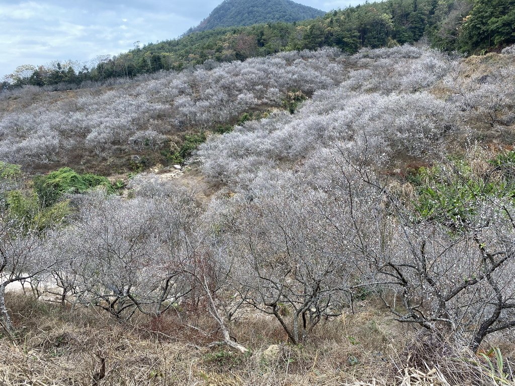 IMG_5543_调整大小.jpg