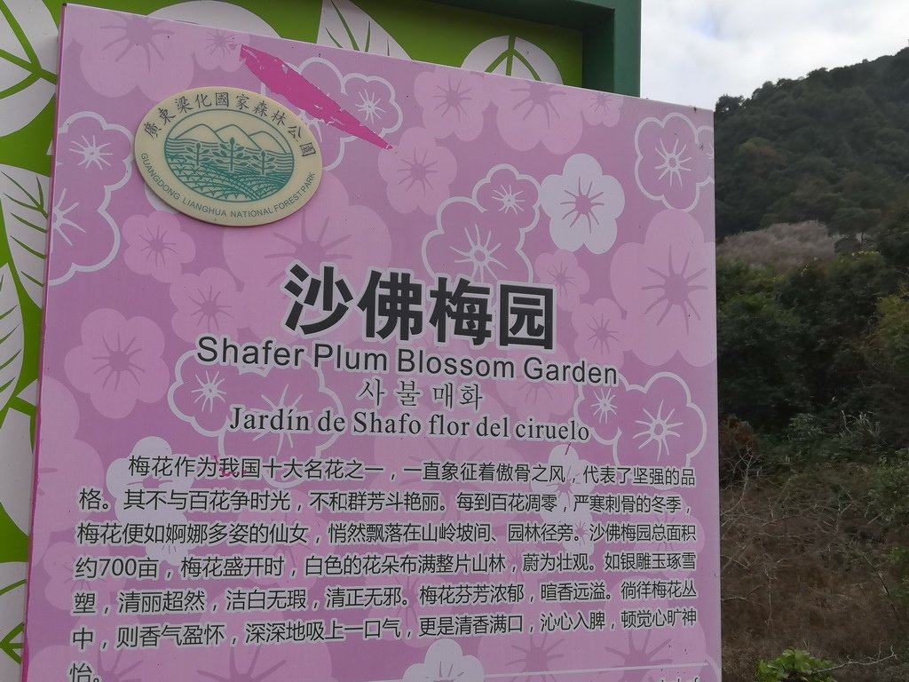IMG_20200105_132856_调整大小.jpg