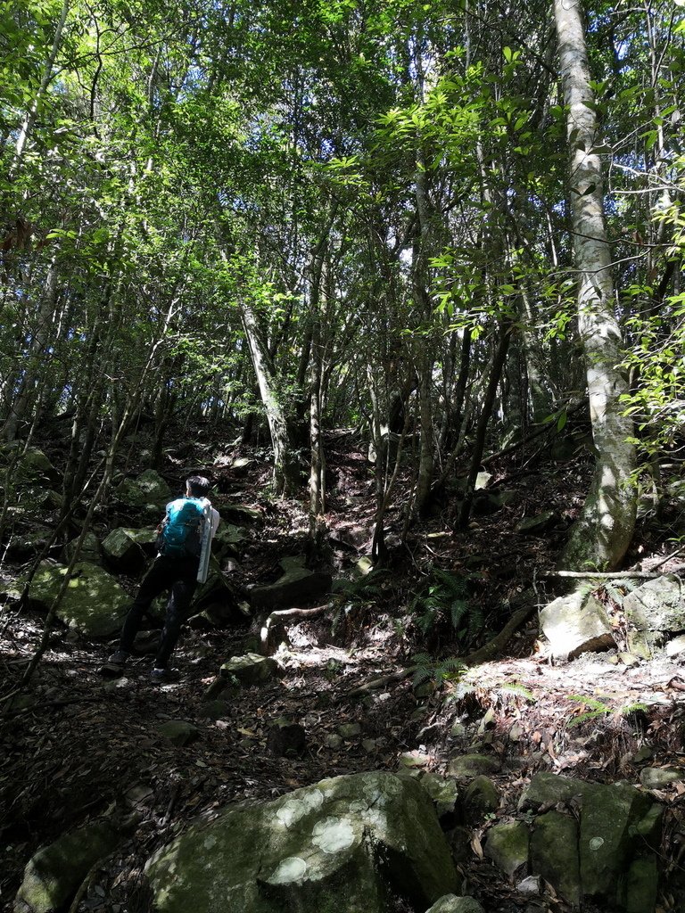 IMG_20210813_091528_调整大小.jpg