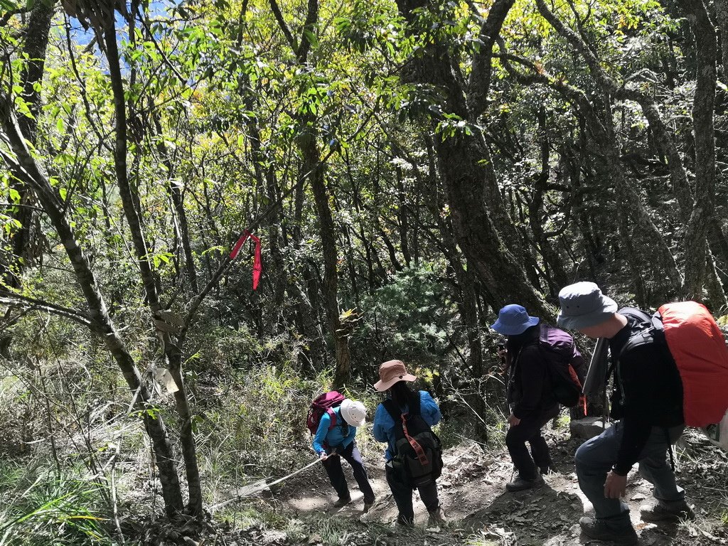 IMG_20211205_142259_调整大小.jpg