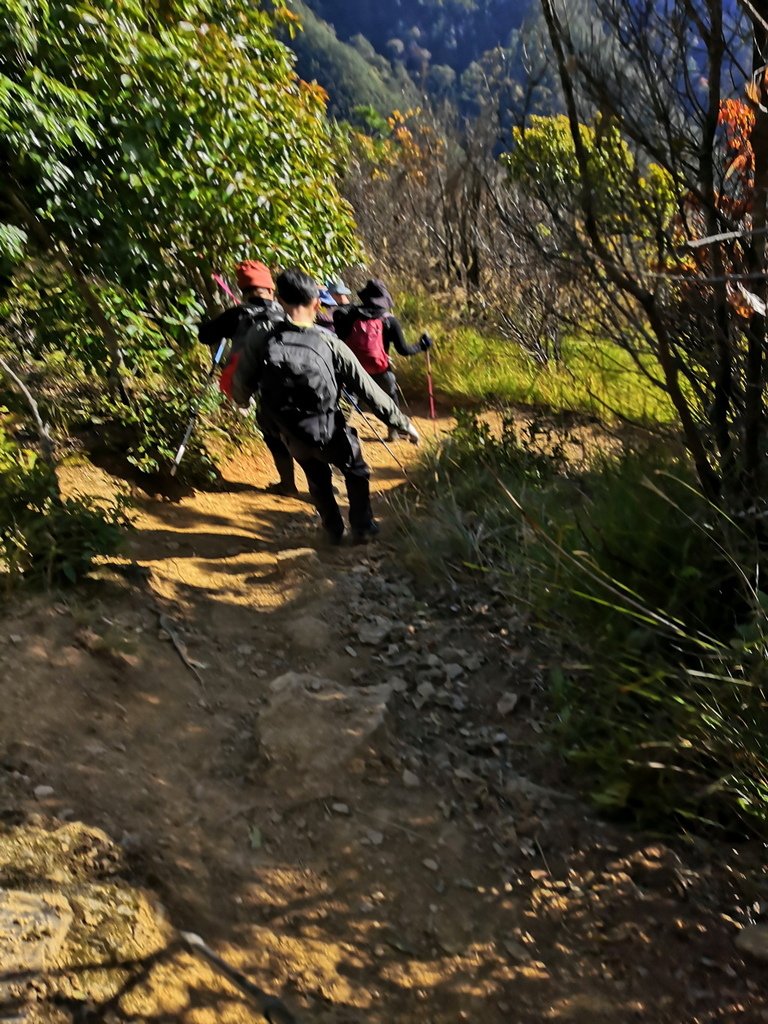 IMG_20211205_140557_调整大小.jpg