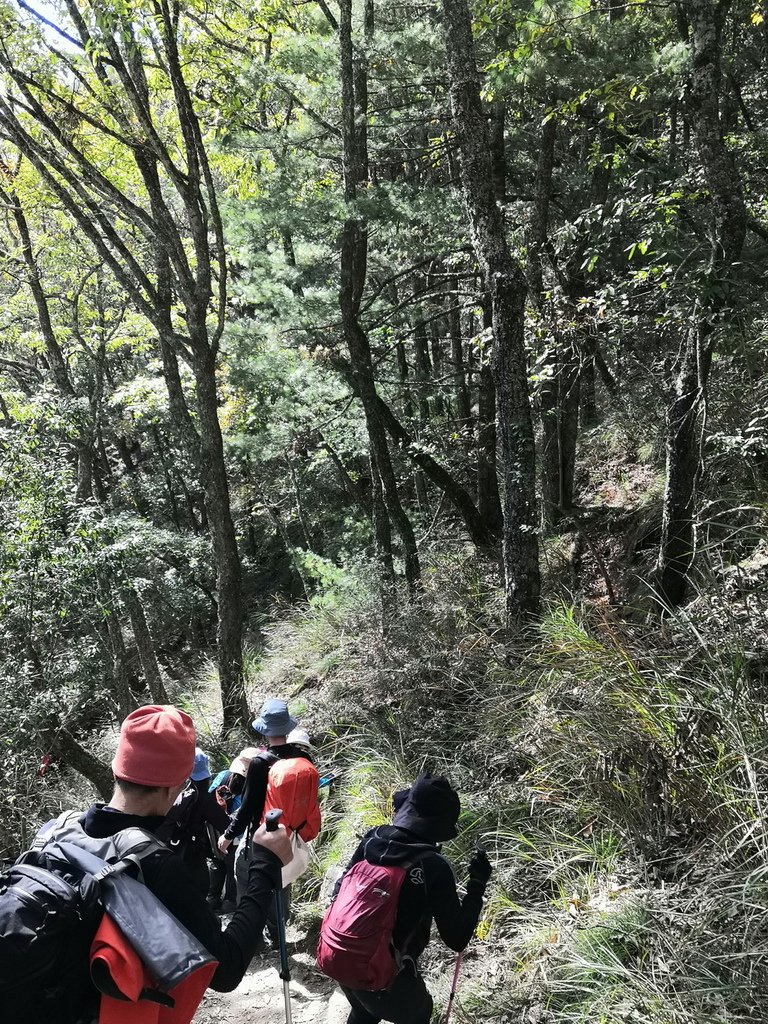 IMG_20211205_142217_调整大小.jpg