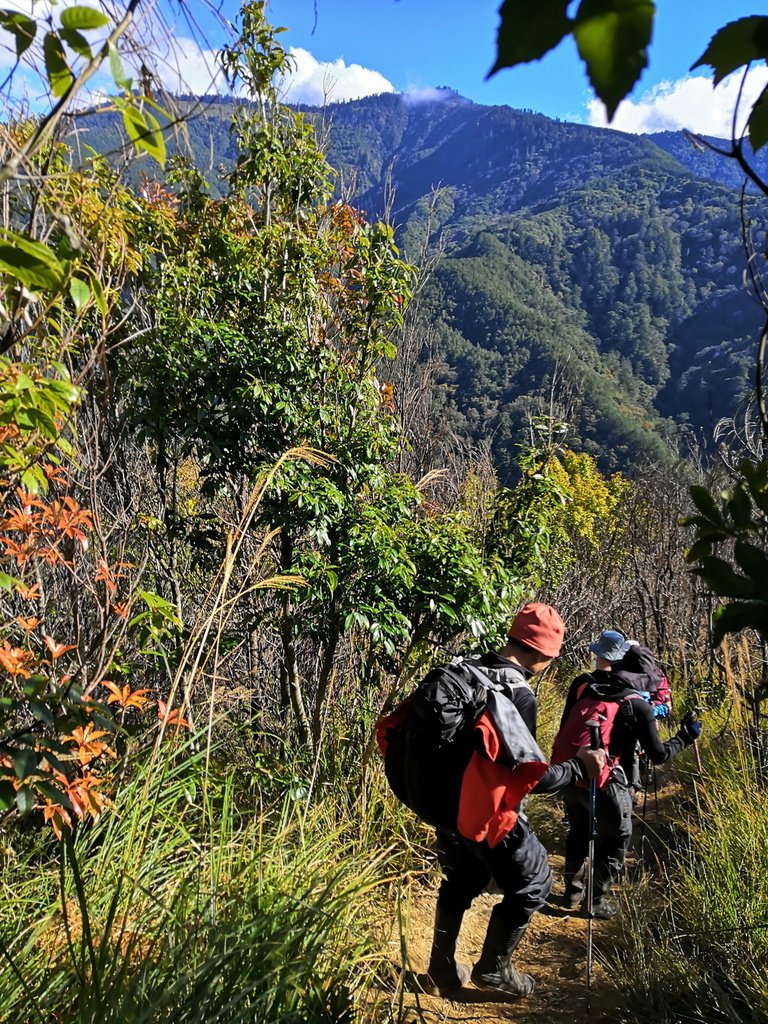 IMG_20211205_140754_调整大小.jpg