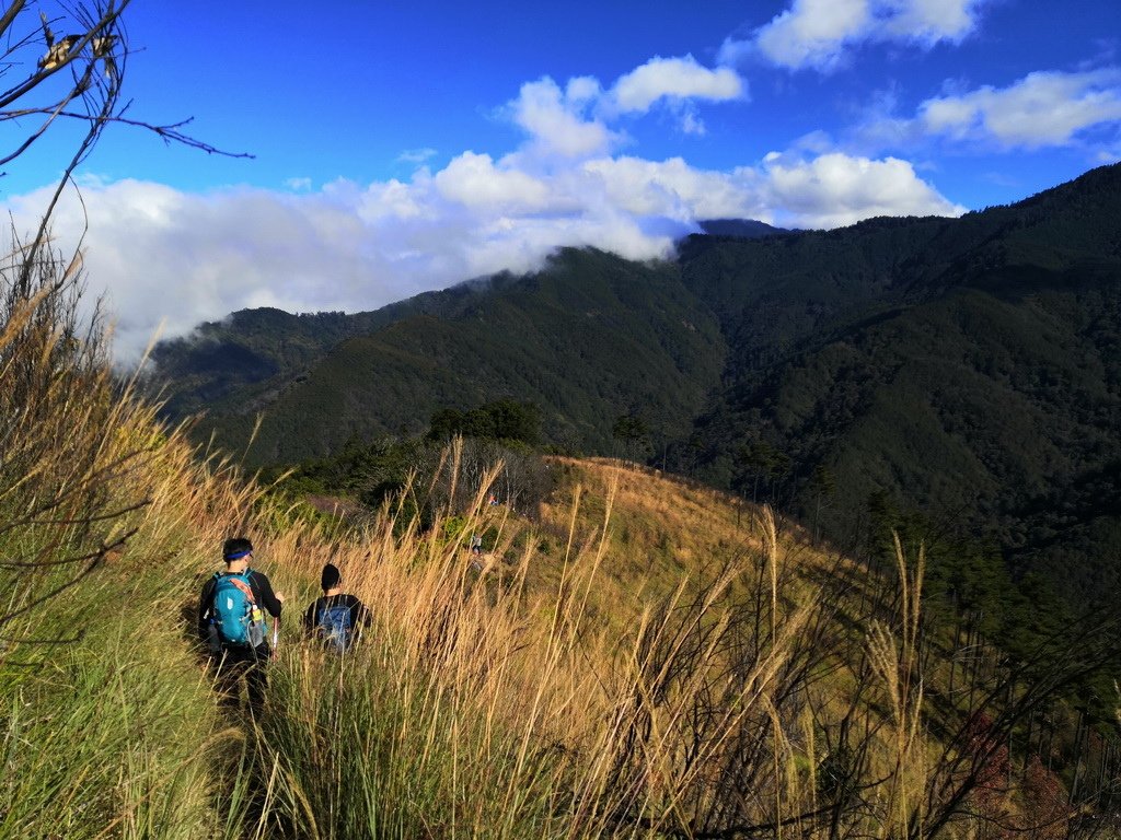 IMG_20211205_135418_调整大小.jpg