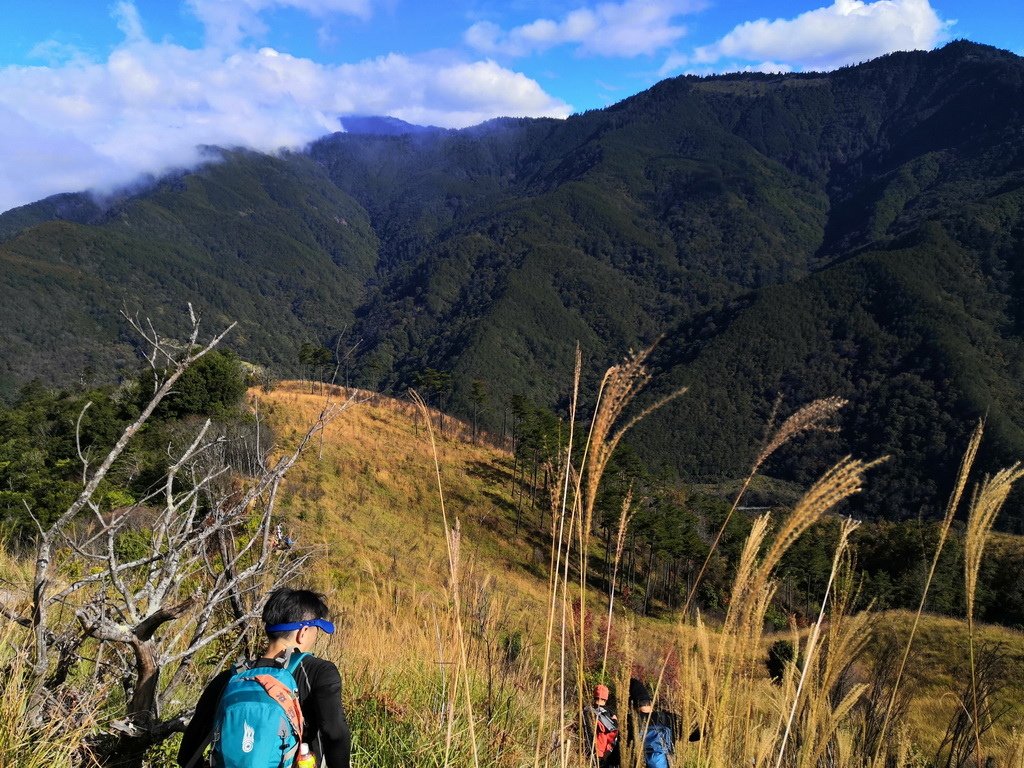 IMG_20211205_135217_调整大小.jpg