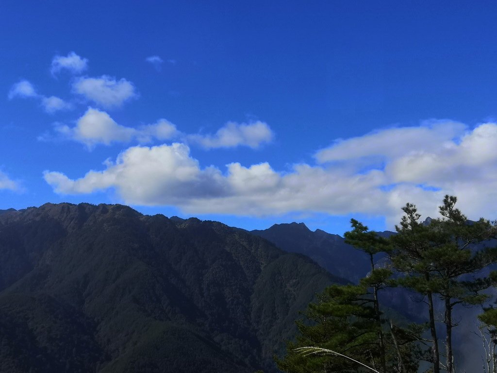 IMG_20211205_132012_调整大小.jpg