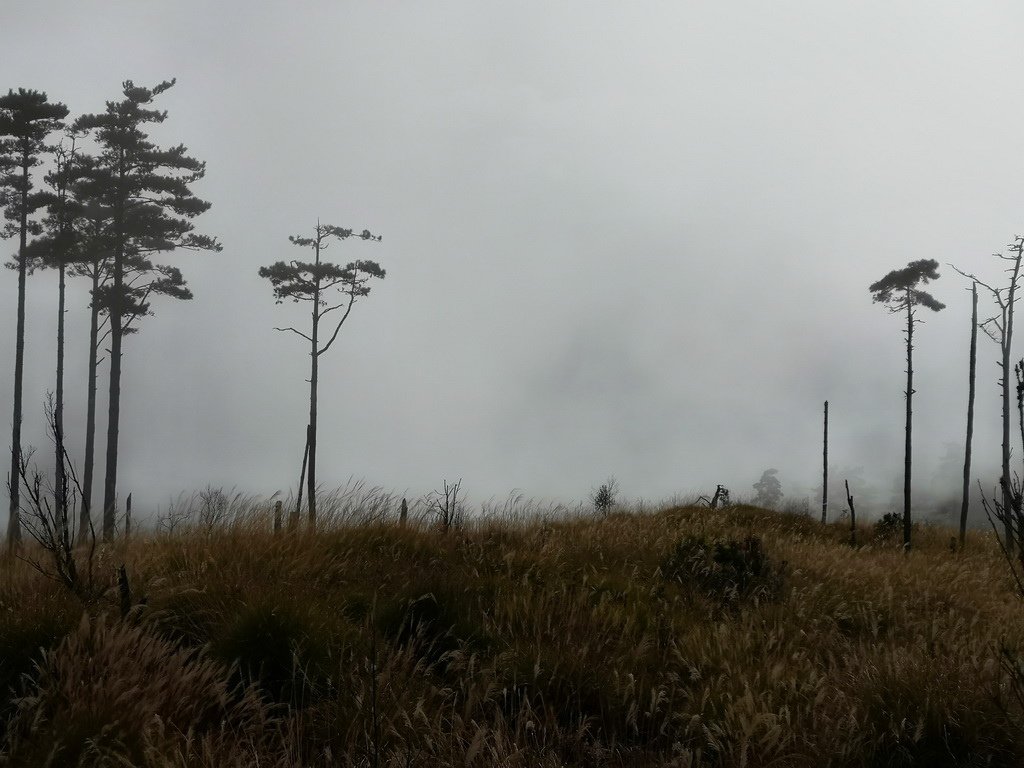 IMG_20211205_131822_调整大小.jpg