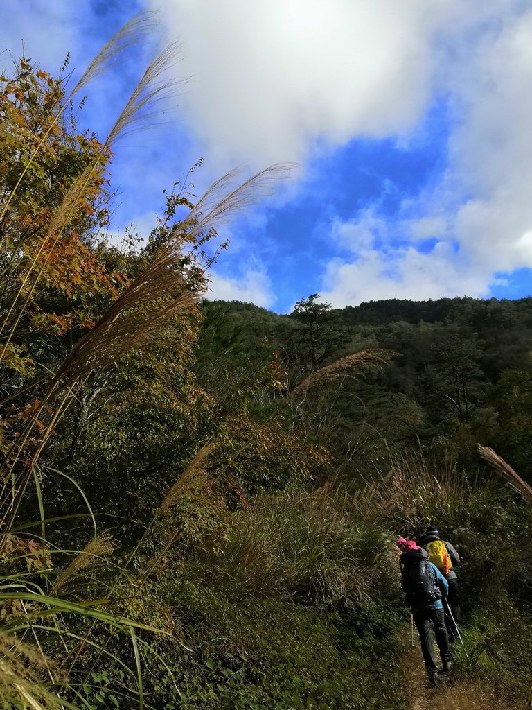 IMG_20211205_150015_调整大小.jpg