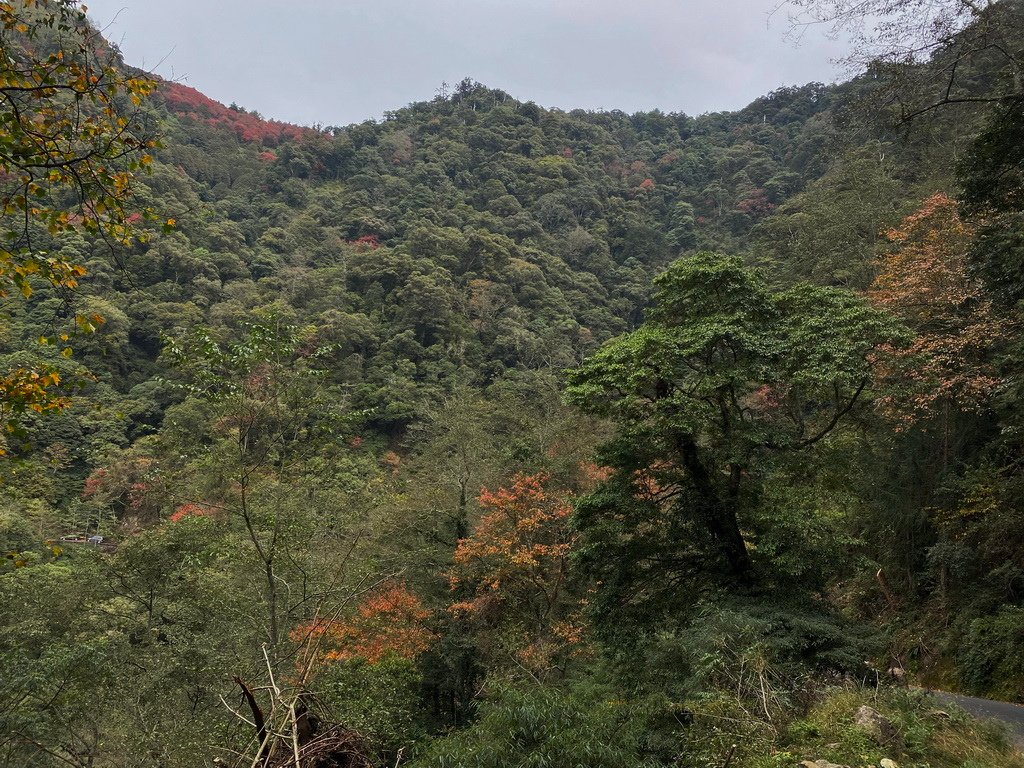 IMG_6434_调整大小.JPG