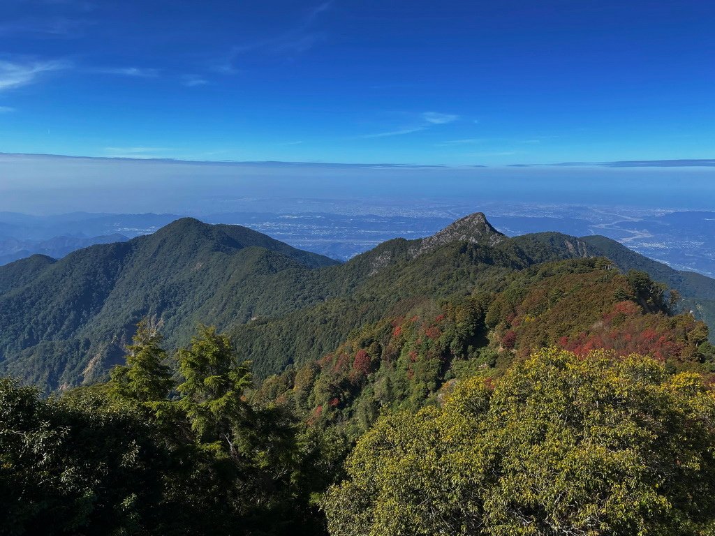 IMG_6274_调整大小.JPG