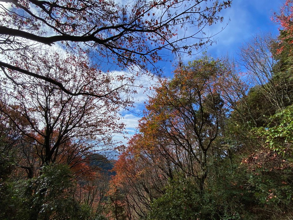 IMG_6259_调整大小.JPG