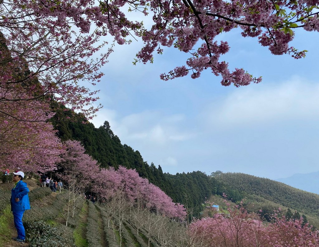IMG_9217_调整大小.JPG