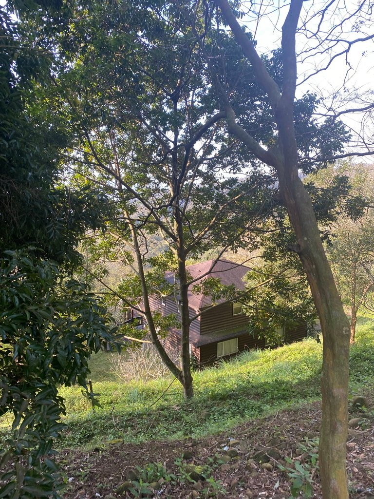 IMG_8874_调整大小.JPG