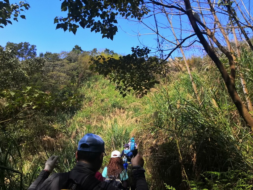 IMG_20220227_124302_调整大小.jpg