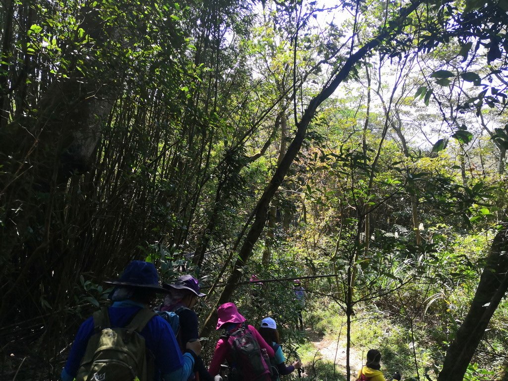 IMG_20220227_102540_调整大小.jpg