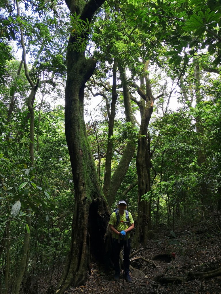 IMG_20220404_125541_调整大小.jpg