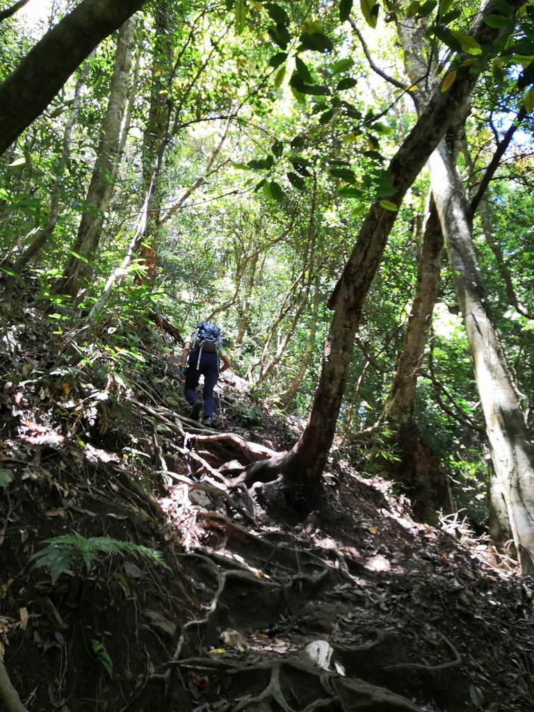 IMG_20220404_121916_调整大小.jpg