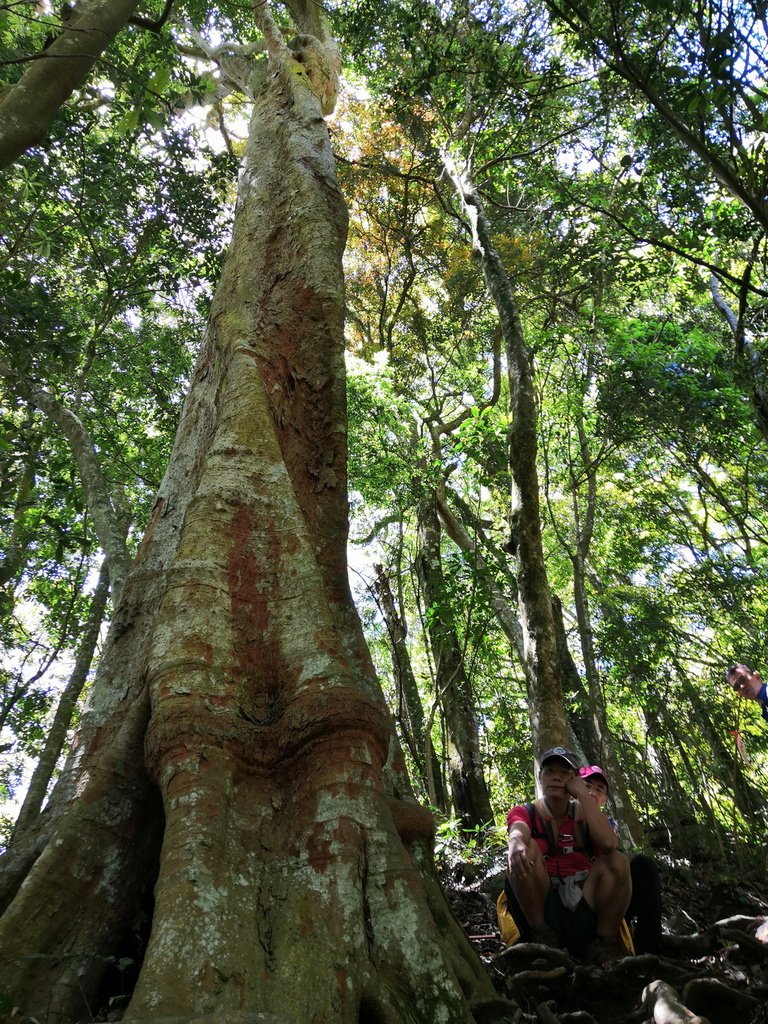 IMG_20220404_120730_调整大小.jpg
