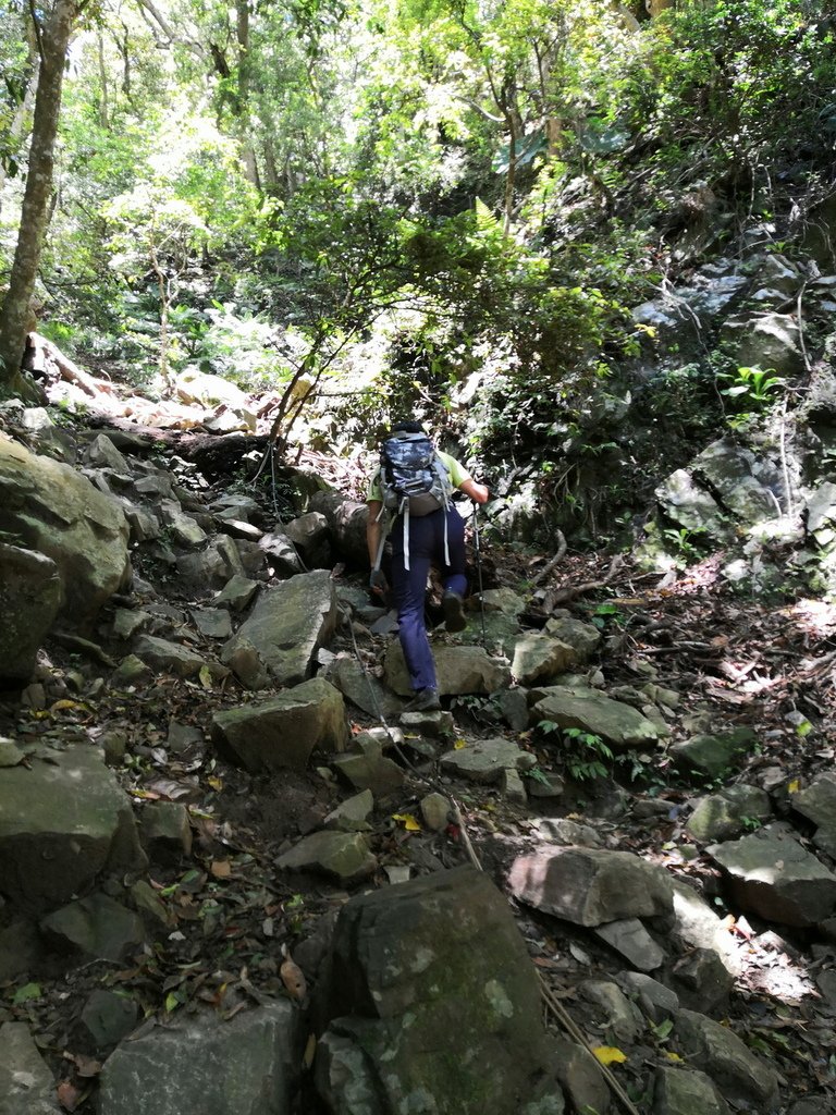 IMG_20220404_115701_调整大小.jpg