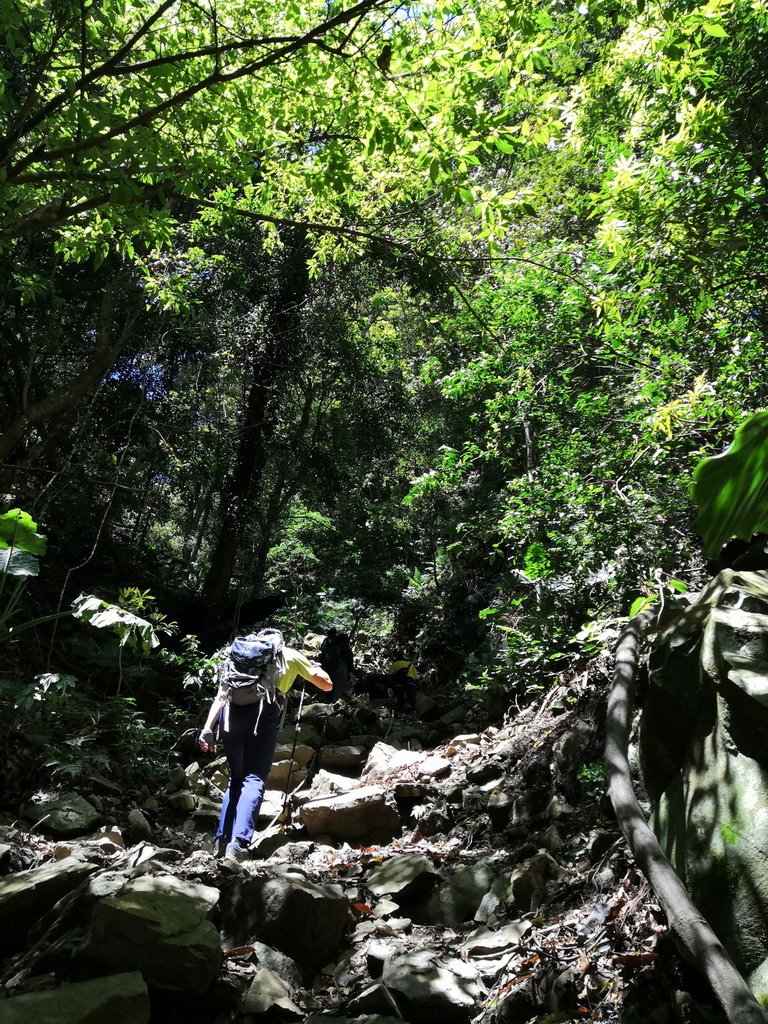 IMG_20220404_115535_调整大小.jpg