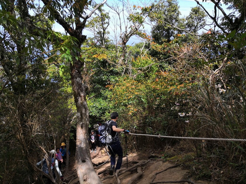 IMG_20220410_110919_调整大小.jpg