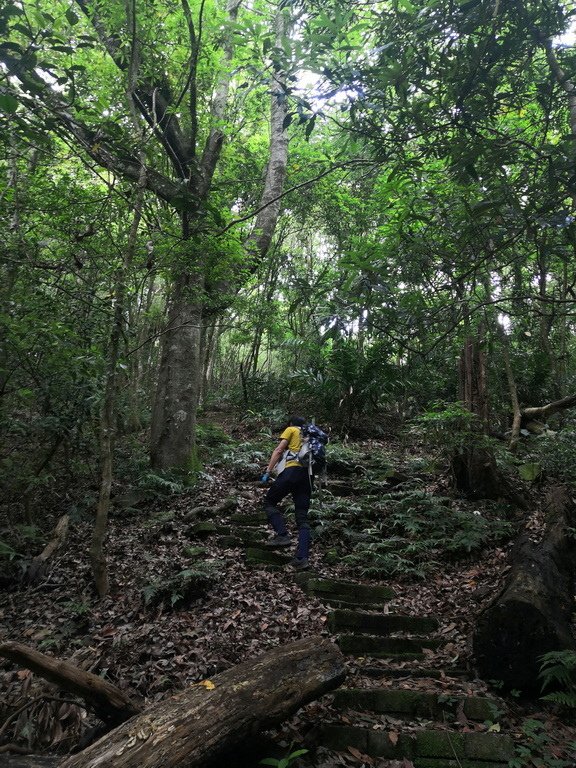 IMG_20220508_085646_2.jpg
