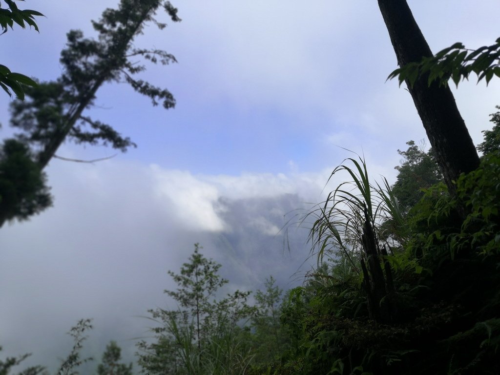 IMG_20220807_092135_2.jpg