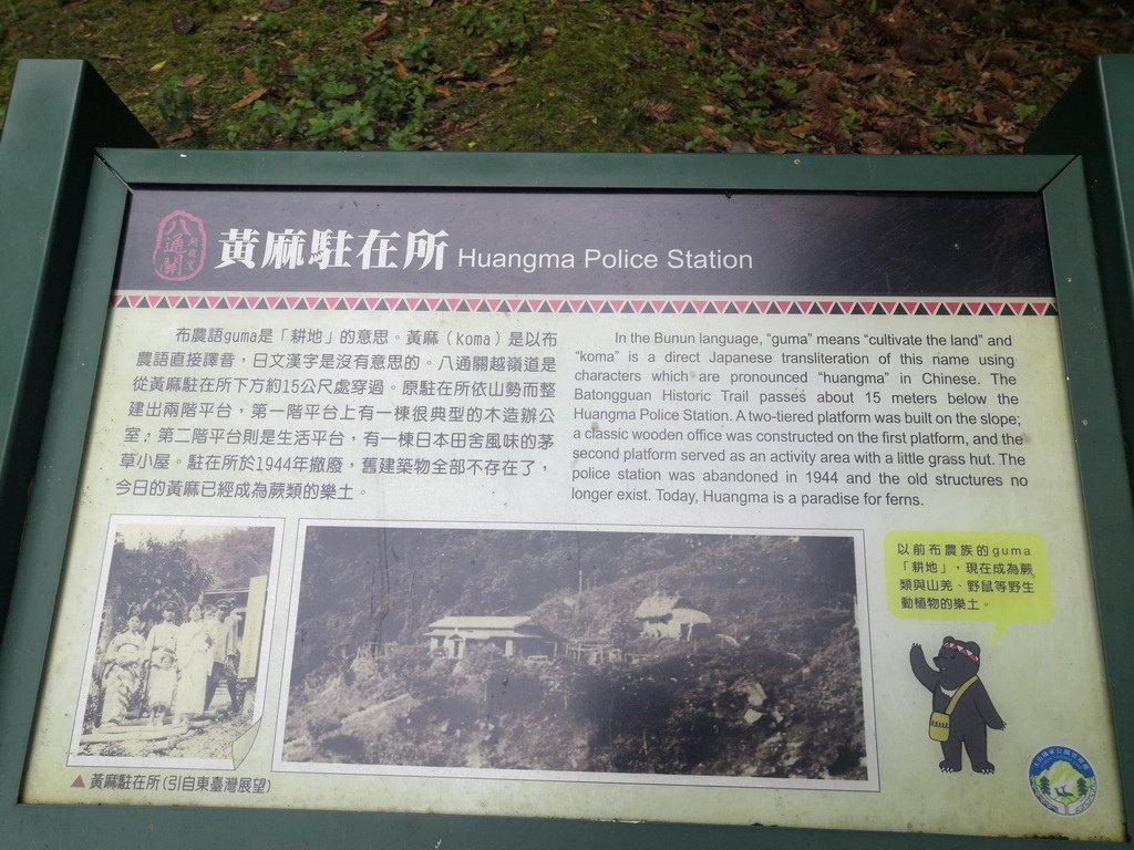 IMG_20221023_094705_2.jpg