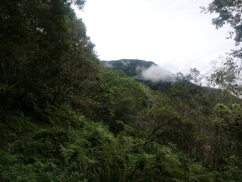 IMG_20221023_103806_2.jpg
