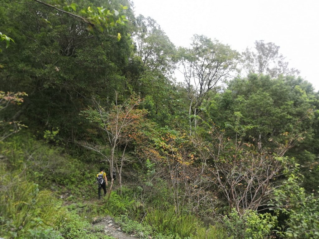 IMG_20221023_104040_2.jpg