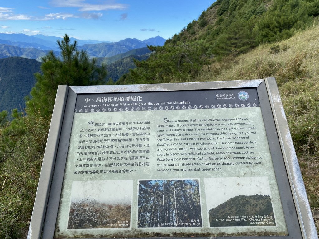 IMG_3519_2.JPG