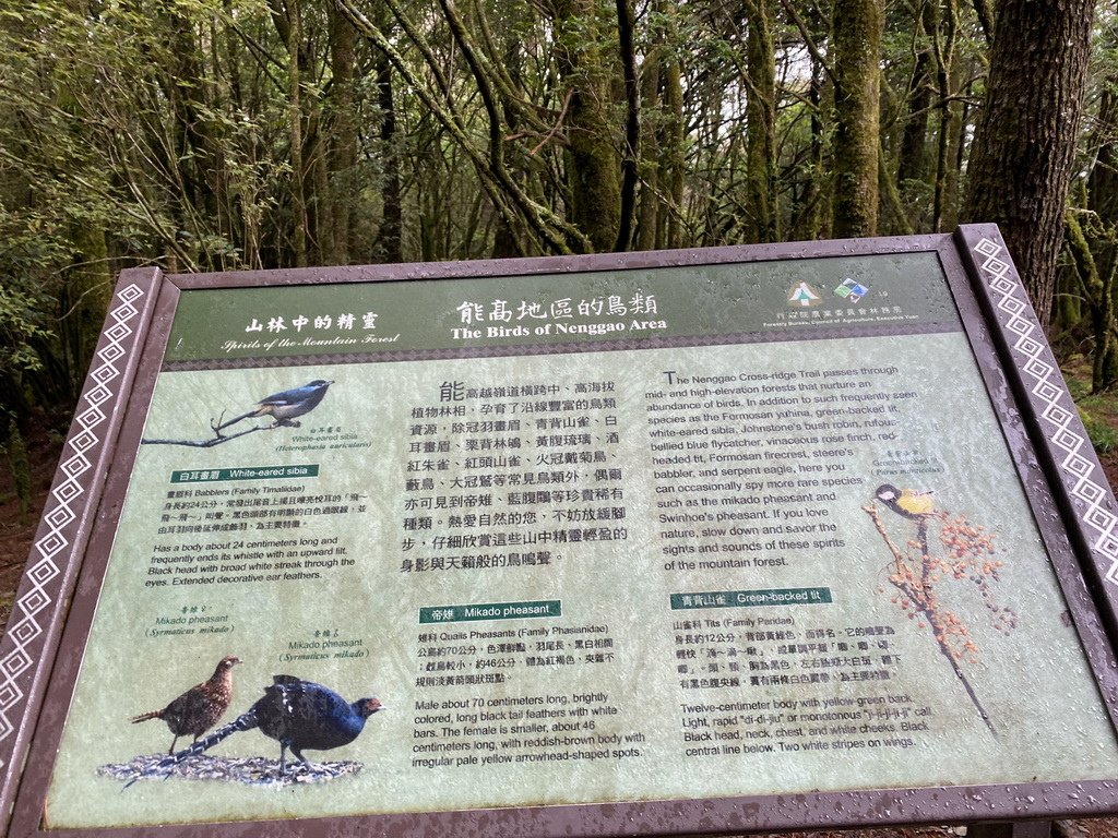 IMG_7198_2.JPG