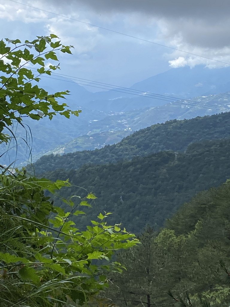 IMG_7202_2.JPG