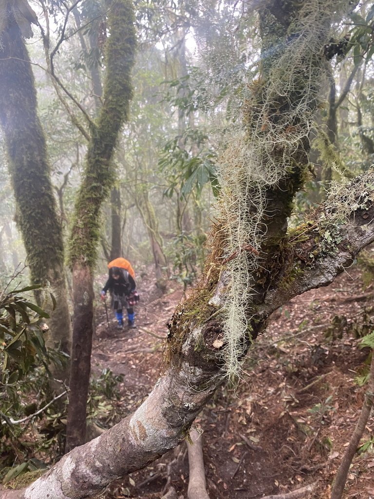 2023/2/25-2/27 嘉明湖&amp;三叉山&amp;向陽山(戒茂斯