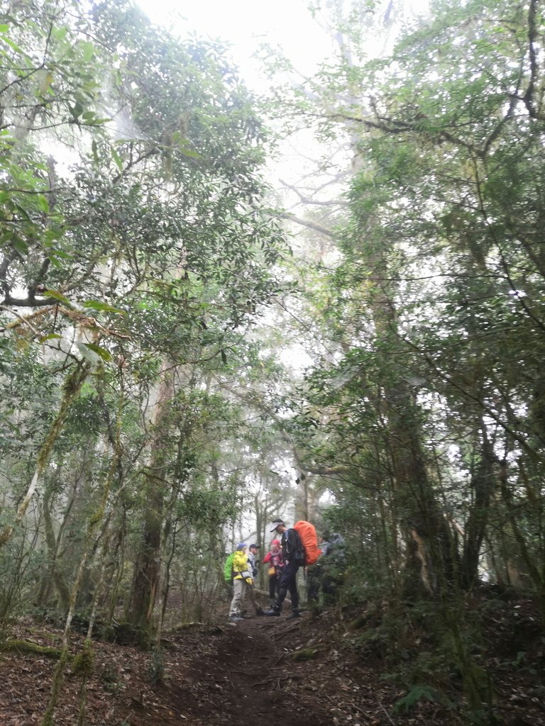 2023/2/25-2/27 嘉明湖&amp;三叉山&amp;向陽山(戒茂斯