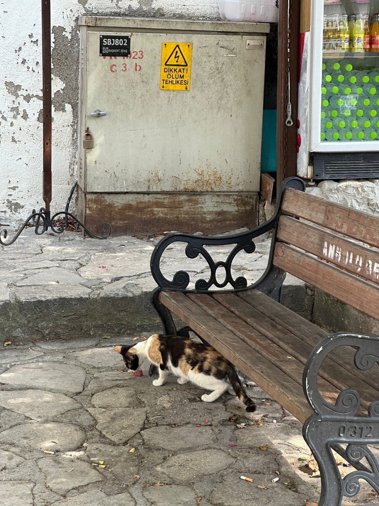 剪輯_31_2.jpg