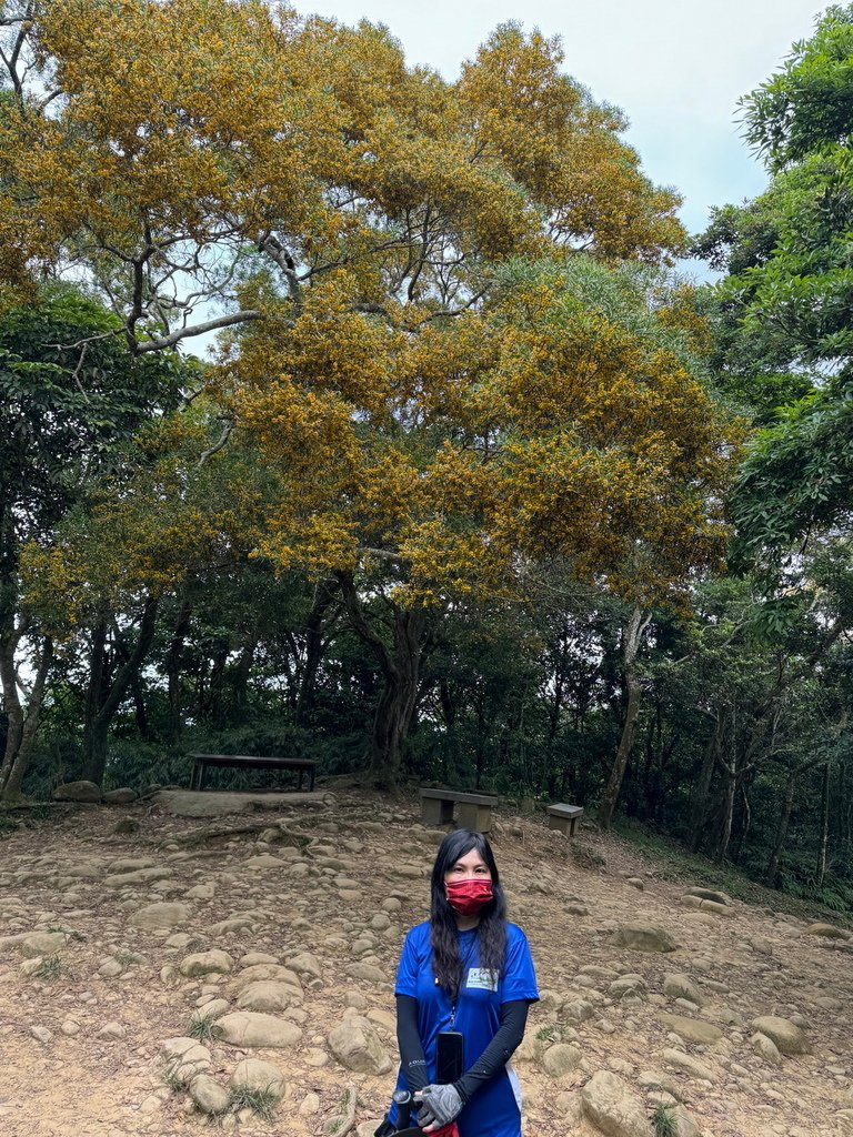 IMG_2398_调整大小.JPG