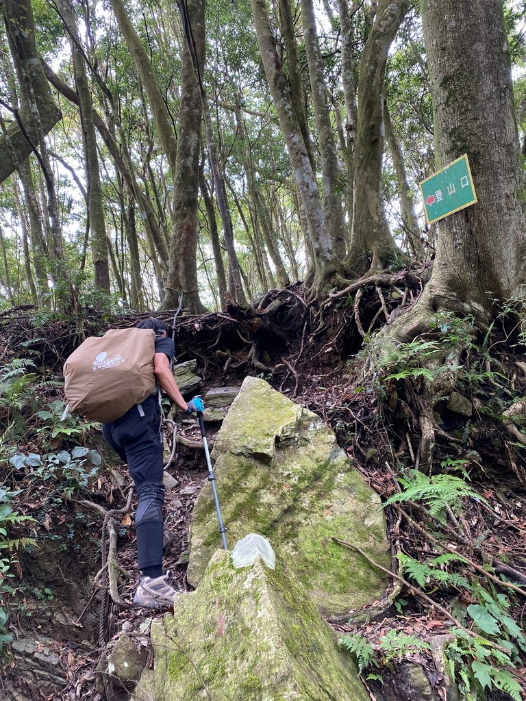 2024/9/16 西巒大山(海拔3081公尺)(單攻)5