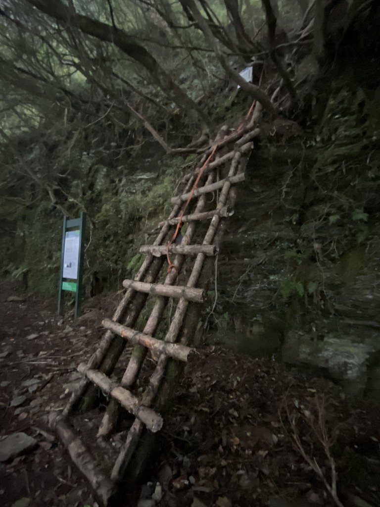 2024/10/11 畢祿山(海拔3371公尺)(單攻)4