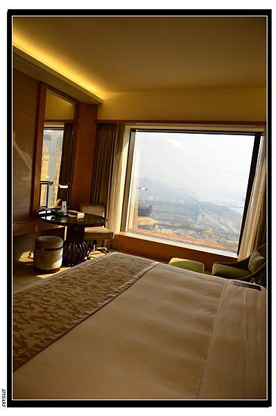 nEO_IMG__SJY3307.jpg