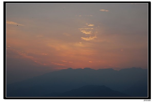 nEO_IMG_DSC_0157.jpg