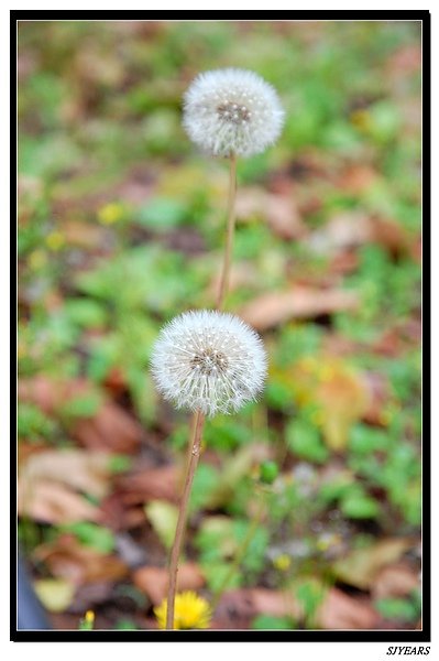 nEO_IMG_DSC_02140070.jpg