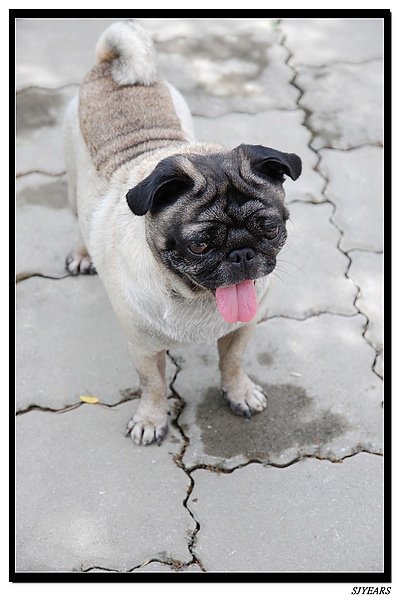 nEO_IMG_DSC_0303.jpg