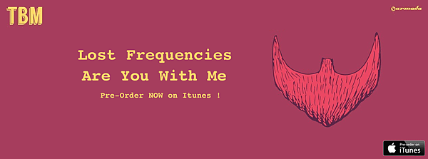 Lost Frequencies - Are You With Me